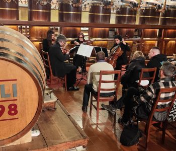 IMG 20241129 220911 Copia Viart