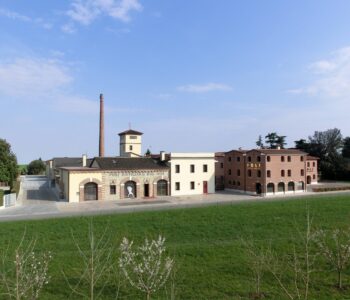 Poli 3 scaled 1 Viart