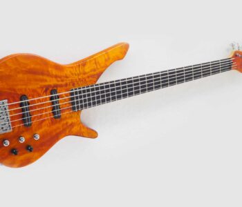 viart vicenza legno manne guitars 1 Viart