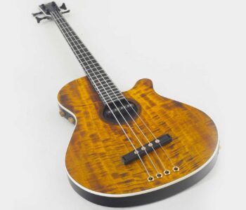 viart vicenza legno manne guitars 5 Viart