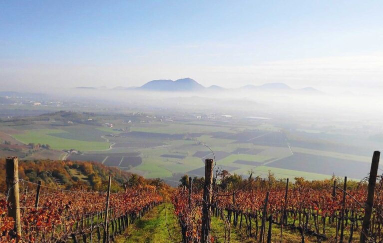 colli berici vicenza