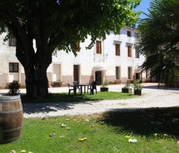 Agriturismo e distilleria 1 Viart