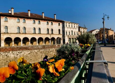 Ponte degli angeli Viart