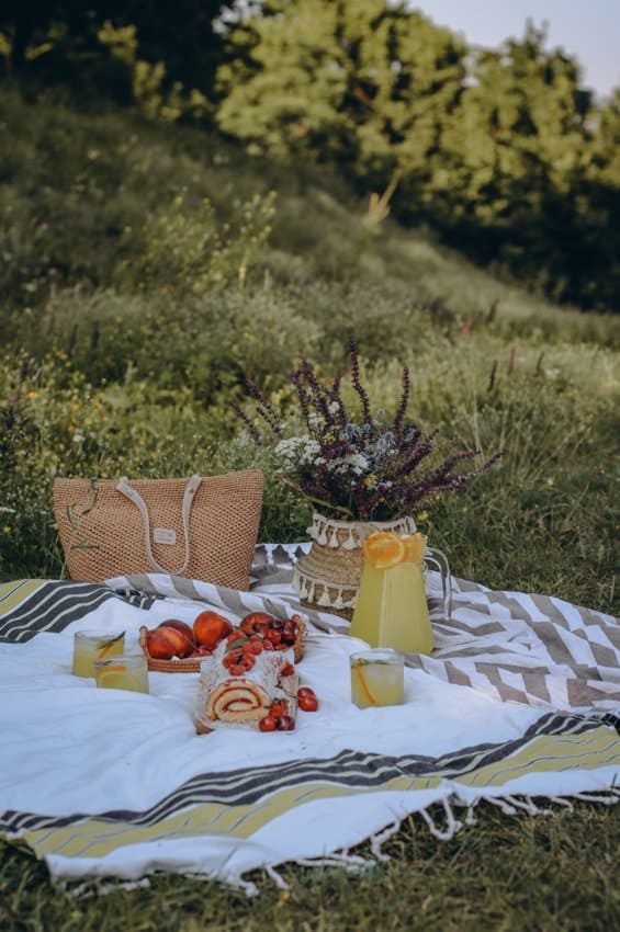 picnic organizzare all'aperto