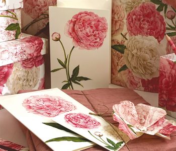 Tassotti cards Peonie Viart