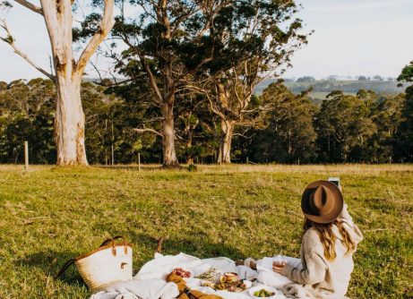Picnic Viart
