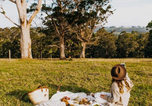 Picnic Viart