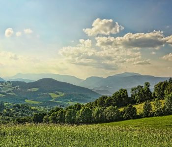 fields 3585202 1920 Viart