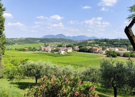 colli berici cosa vedere