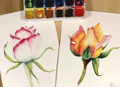 fiori vari h2o 1 Viart