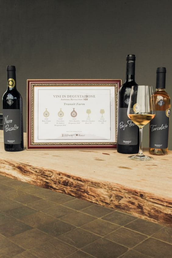 cantine vicenza vini veneti pregiati Viart