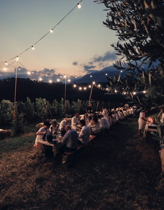 degustazioni enogastronoomiche vicenza e1748437435132 Viart