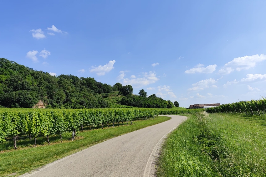 vicenza cicloturismo colli berici Viart