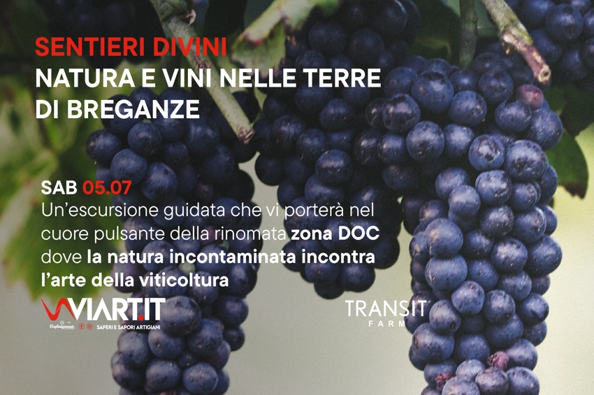 breganze tour cantine vinicole viart Viart