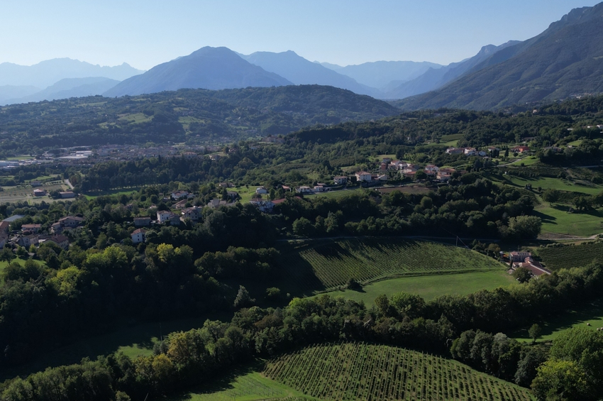 copertina breganze colline sentieri vino Viart