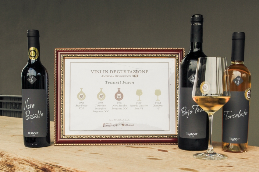 degustazione vino artigianale breganze Viart