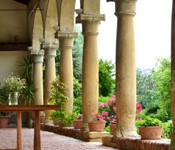 portico scaled Viart