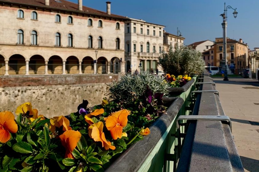 itinerari vicenza citta palladio Viart