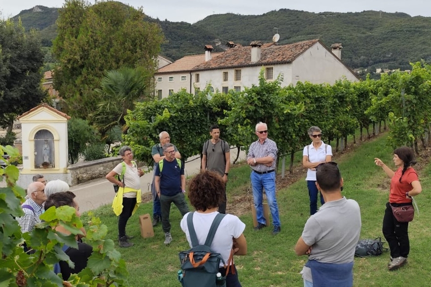 vicenza sentieri percorsi natura Viart