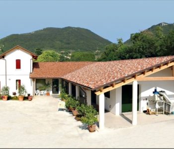 frantoio bis Viart