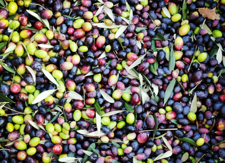 olive Viart