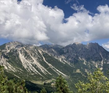 foto4 Viart