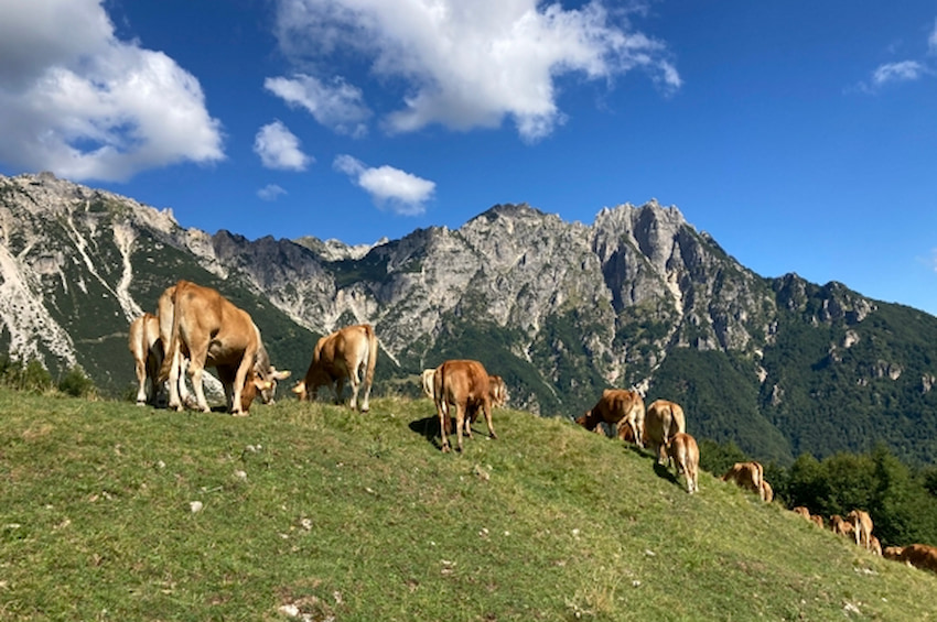 paesaggi montagne pasubio recoaro Viart