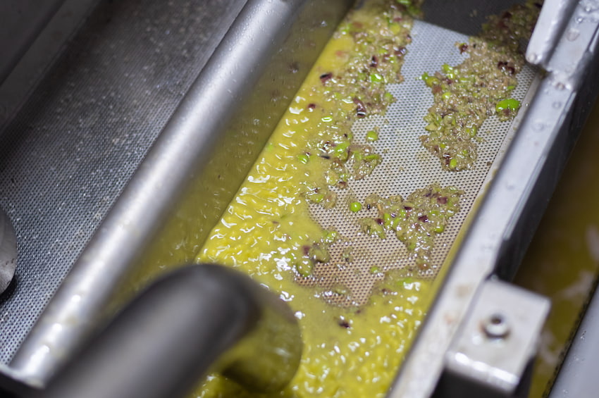 pasta di poliva produzione olio Viart