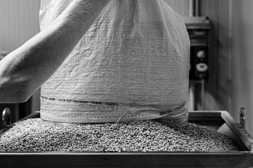produzione birrificio artigianale malto Viart
