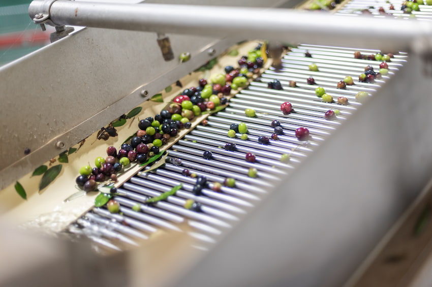 produzione olio extravergine frantoio Viart