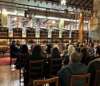 IMG 9496 Copia Viart