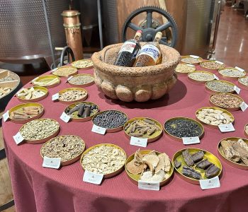 IMG 9507 Copia Viart