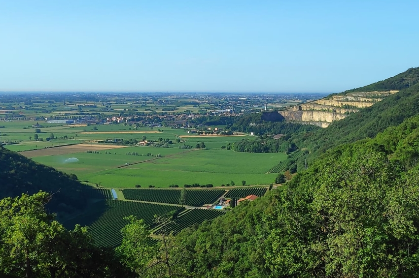 colli berici vista sulla natura Viart