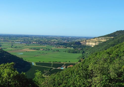 foto berici Viart