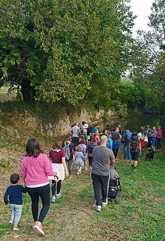 passeggiate colli berici con bambini e1761295177992 Viart