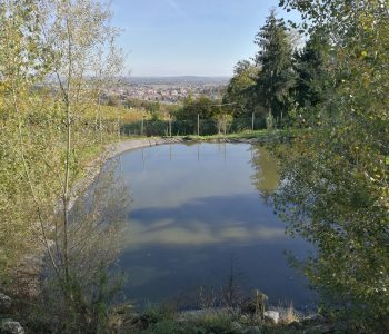 IMG 20181031 111921 Viart