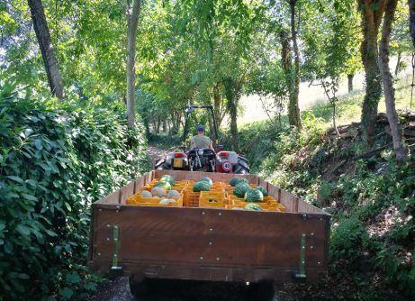 IMG 20220721 145505 Viart