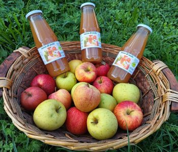 IMG 20240927 171730059 Viart