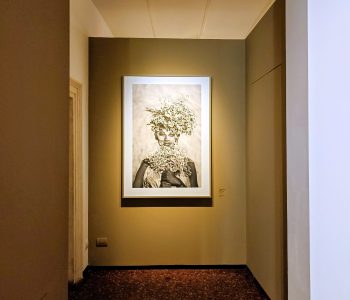 Fotografia IMG 20251025 150327RID Viart