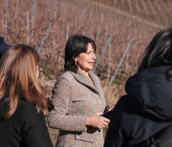 Del Rèbene Viart 1 Viart