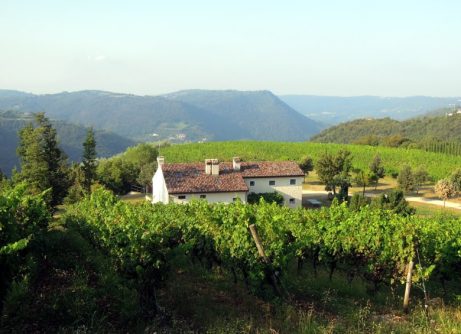 giornata colli veneti marzo 2026 Viart