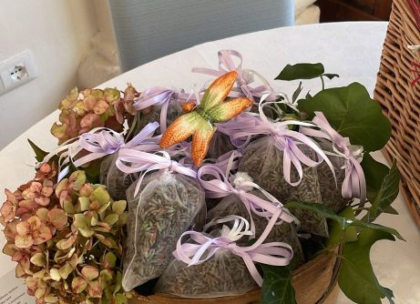 IMG 20250723 WA0000 Viart