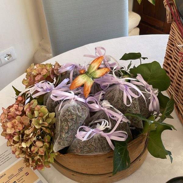 IMG 20250723 WA0000 Viart