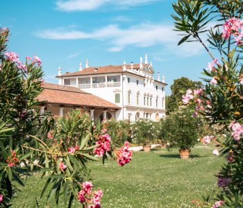 IMG 20250731 WA0008 Copia Viart