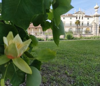 IMG20240427170653 Copia Viart