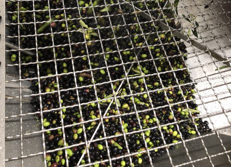 IMG 3486 Copia Viart