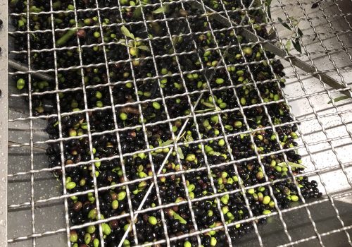 IMG 3486 Copia Viart