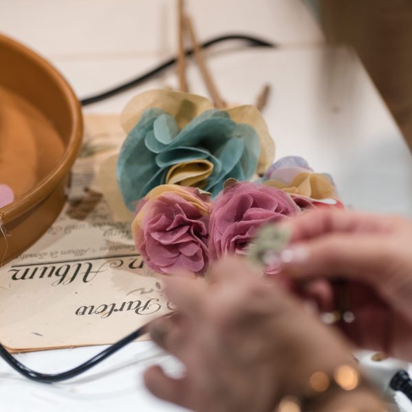 WhatsApp Image 2026 02 27 at 09.46.41 Viart