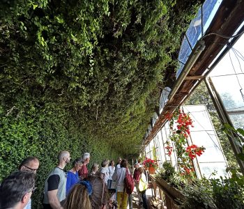 IMG 6504 Copia Viart