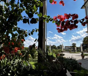 IMG 6509 Copia Viart